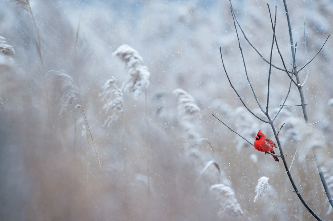 Photo Stylish winter outfit