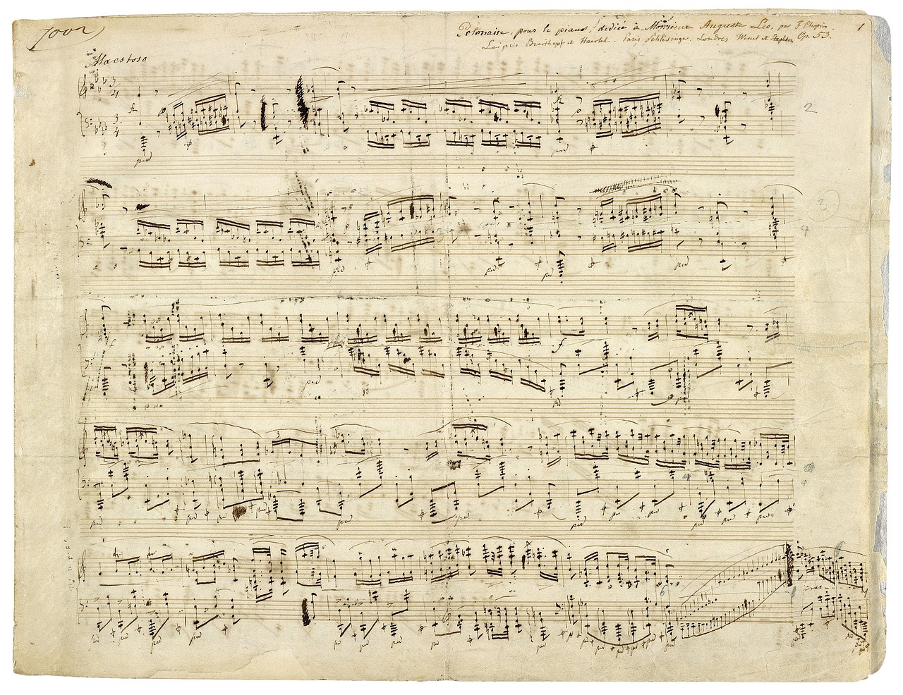 Melodia zaklęta w tkaninie – kolekcja Fryderyk Chopin x MEDICINE