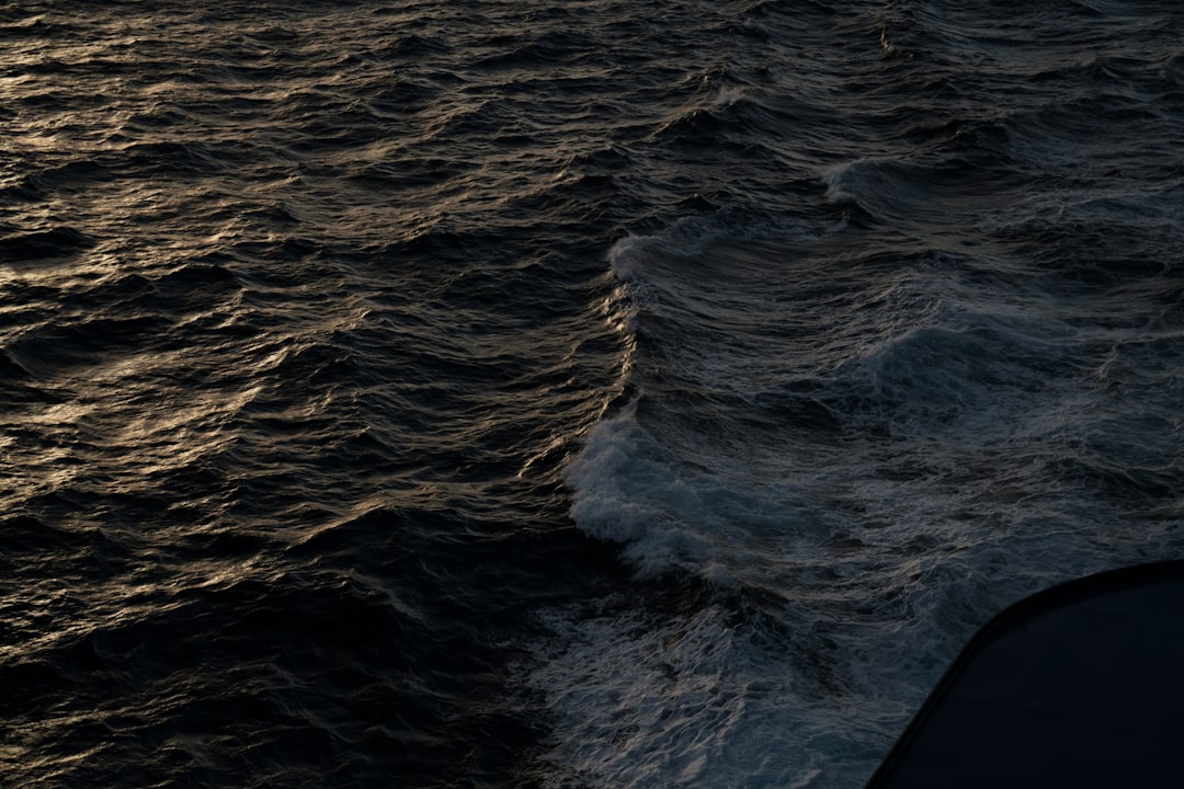 Photo marynarka w kratę