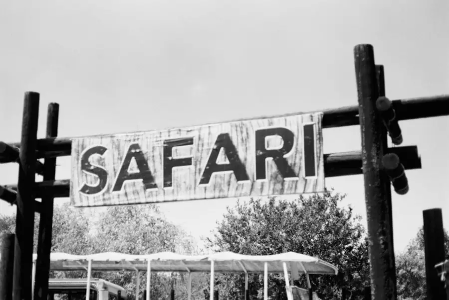 Safari z pazurem – modowe porady na egzotyczną przygodę