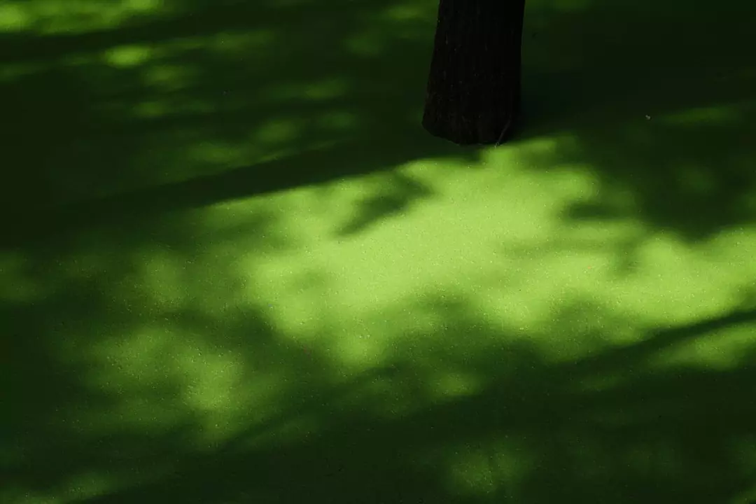 Co pasuje do zielonego? Podpowiadamy 3 praktyczne rozwiązania